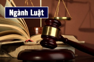 Tìm hiểu ngành Luật là gì? học gì? ra trường làm gì?